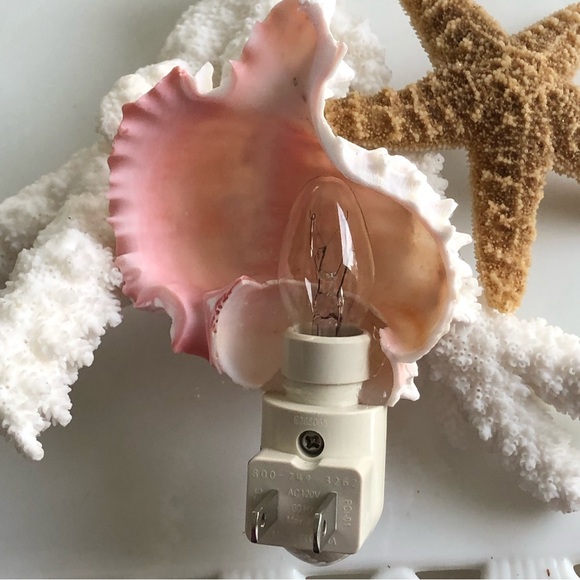 New! Natural Pink White Murex Seashell Night Light - Picture 2 of 4
